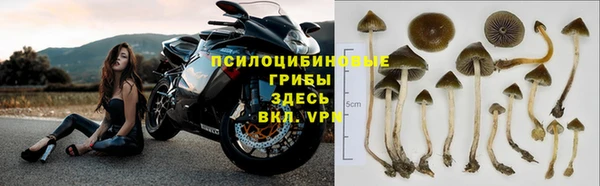гидропоника Алзамай